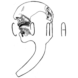 logo-coma.jpg